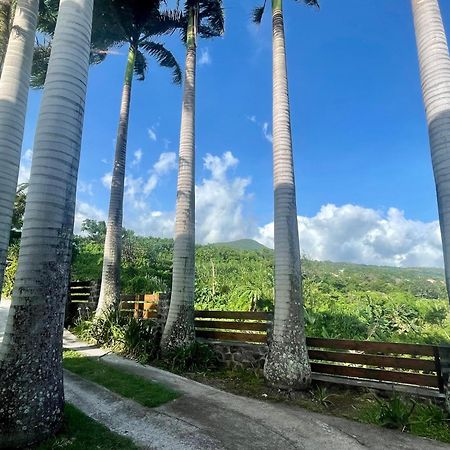 Grande Villa Au Calme - Vue Exceptionnelle - Climatisation - Piscine Sel Chauffee - Jardin Tropical Vincendo Екстериор снимка