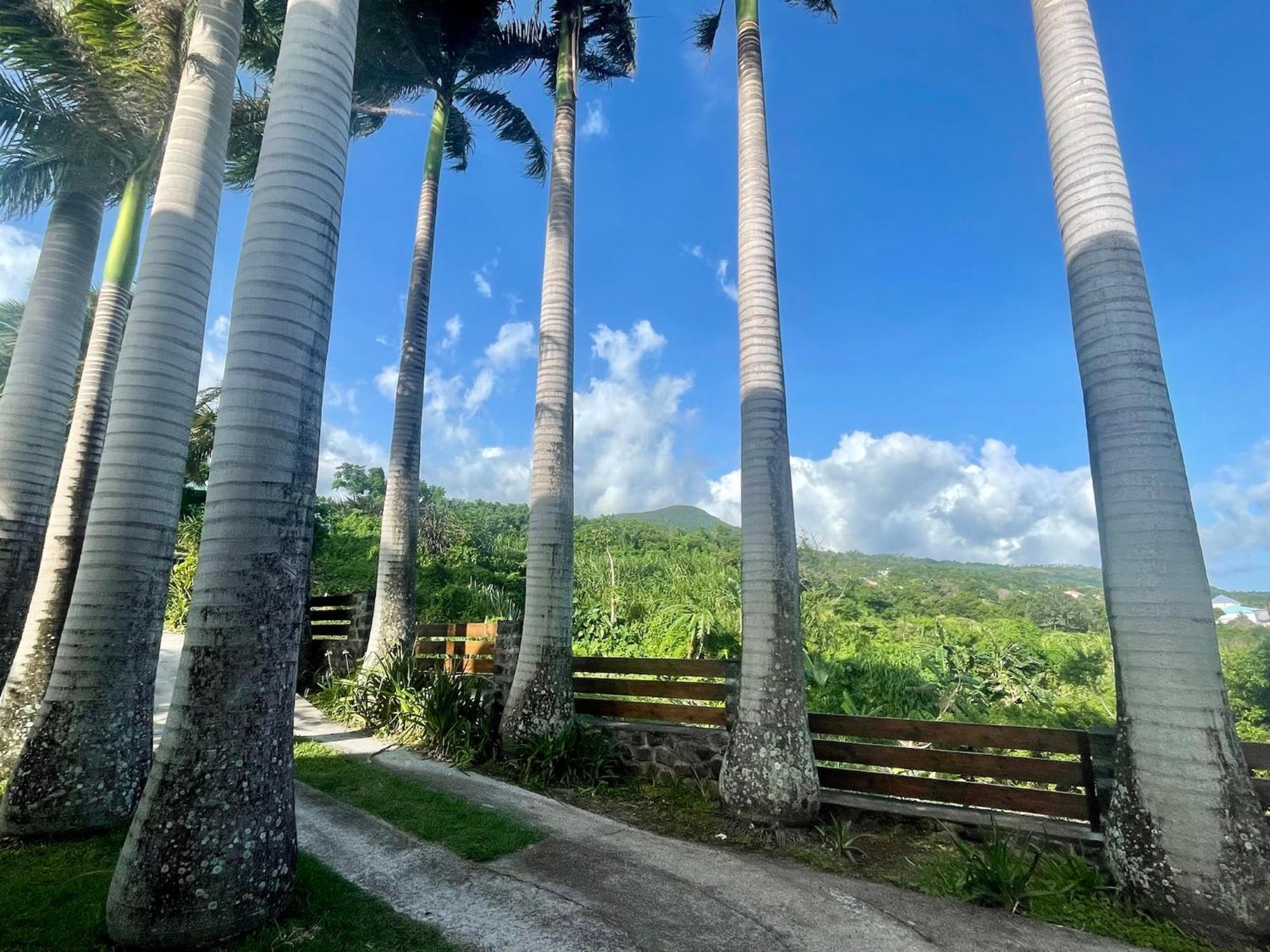 Grande Villa Au Calme - Vue Exceptionnelle - Climatisation - Piscine Sel Chauffee - Jardin Tropical Vincendo Екстериор снимка
